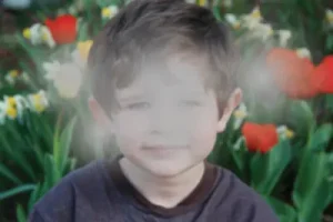 an example of vision with cataracts